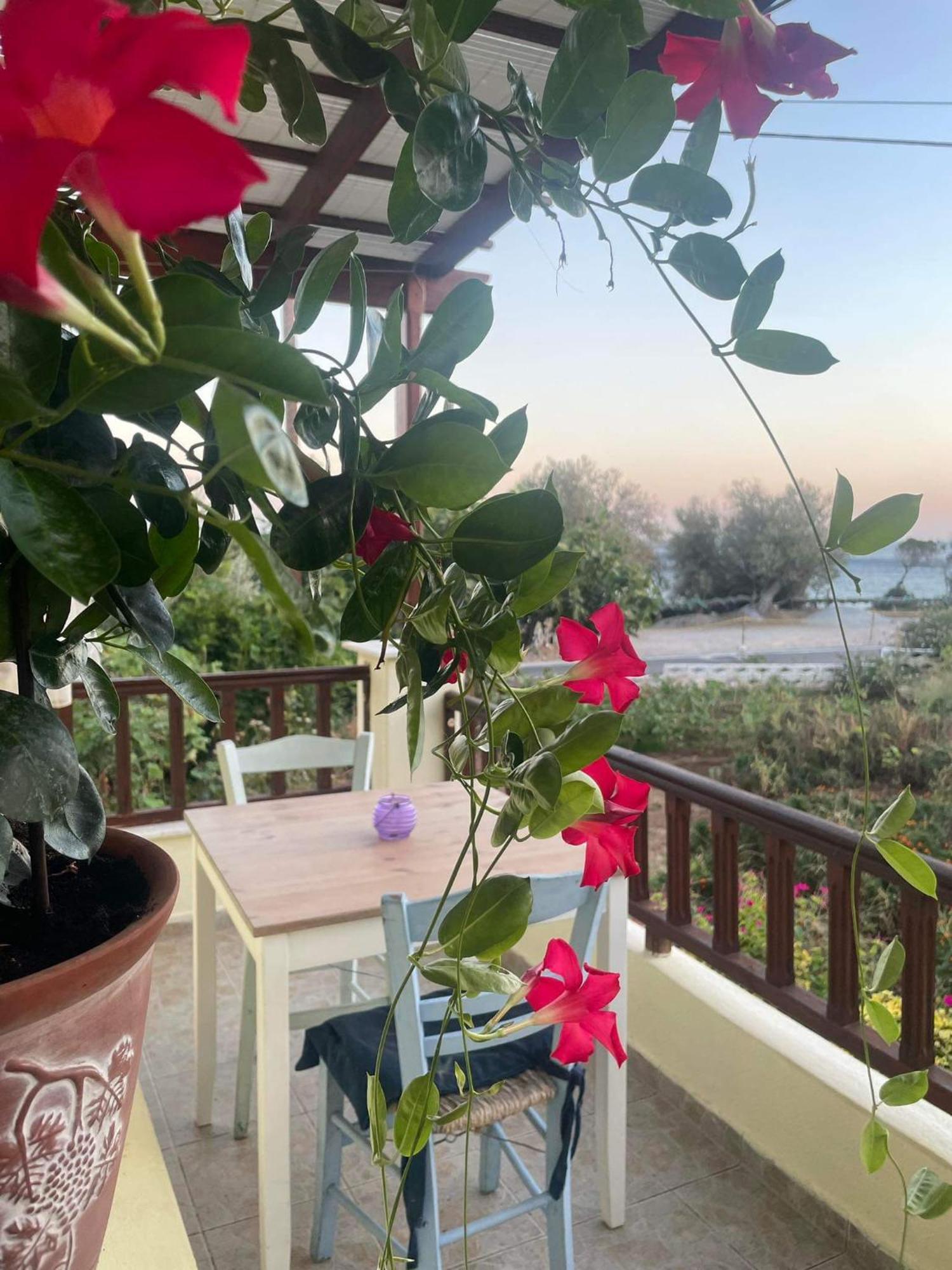 Tiki Rooms 마라토캄포스 외부 사진